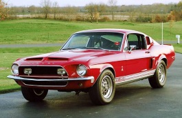Размер шин и дисков на Ford, Mustang Shelby GT350, I Restyling, 1968 - 1968
                        